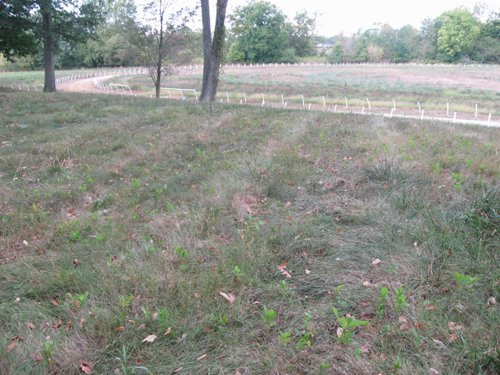 Property photo 31 - 80 Acres Offered in 4 Tracts - Horse Farm